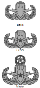 Saw this on a show. What are these badges called? (Show; 68 Whiskey) :  r/army
